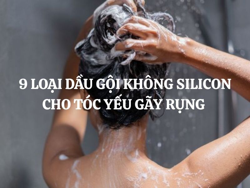 9 Loại dầu gội không Silicon cho tóc yếu gãy rụng được nhiều người tin dùng